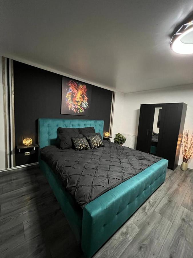 Luxor Ultra-Central Apartments Sibiu Ngoại thất bức ảnh